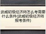武威初级经济师怎么考需要什么条件(武威初级经济师报考条件)