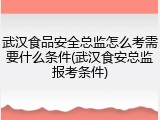 武汉食品安全总监怎么考需要什么条件(武汉食安总监报考条件)