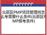 北辰区PMP项目管理师怎么考需要什么条件(北辰区PMP报考条件)