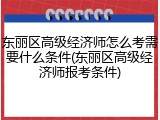 东丽区高级经济师怎么考需要什么条件(东丽区高级经济师报考条件)