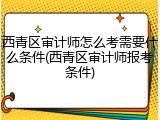 西青区审计师怎么考需要什么条件(西青区审计师报考条件)