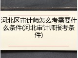 河北区审计师怎么考需要什么条件(河北审计师报考条件)