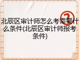 北辰区审计师怎么考需要什么条件(北辰区审计师报考条件)