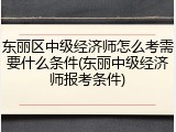 东丽区中级经济师怎么考需要什么条件(东丽中级经济师报考条件)