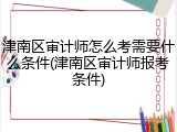 津南区审计师怎么考需要什么条件(津南区审计师报考条件)