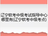 辽宁软考中级考试指导中心哪里有(辽宁软考中级考点)