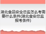 湖北食品安全总监怎么考需要什么条件(湖北食安总监报考条件)