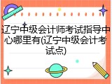 辽宁中级会计师考试指导中心哪里有(辽宁中级会计考试点)