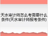 天水审计师怎么考需要什么条件(天水审计师报考条件)