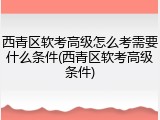 西青区软考高级怎么考需要什么条件(西青区软考高级条件)