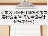 河东区中级会计师怎么考需要什么条件(河东中级会计师报考条件)