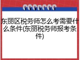 东丽区税务师怎么考需要什么条件(东丽税务师报考条件)