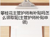 攀枝花主管护师有补贴吗怎么领取呢(主管护师补贴申领)