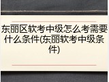 东丽区软考中级怎么考需要什么条件(东丽软考中级条件)