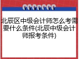 北辰区中级会计师怎么考需要什么条件(北辰中级会计师报考条件)