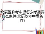北辰区软考中级怎么考需要什么条件(北辰软考中级条件)