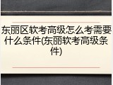 东丽区软考高级怎么考需要什么条件(东丽软考高级条件)