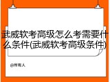 武威软考高级怎么考需要什么条件(武威软考高级条件)