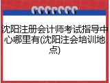 沈阳注册会计师考试指导中心哪里有(沈阳注会培训地点)