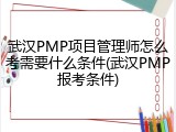 武汉PMP项目管理师怎么考需要什么条件(武汉PMP报考条件)