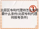 北辰区专利代理师怎么考需要什么条件(北辰专利代理师报考条件)