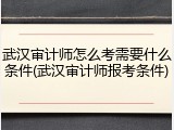 武汉审计师怎么考需要什么条件(武汉审计师报考条件)