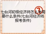 七台河初级经济师怎么考需要什么条件(七台河经济师报考条件)