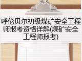 呼伦贝尔初级煤矿安全工程师报考资格详解(煤矿安全工程师报考)