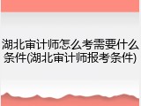 湖北审计师怎么考需要什么条件(湖北审计师报考条件)