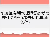 东丽区专利代理师怎么考需要什么条件(考专利代理师条件)