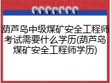 葫芦岛中级煤矿安全工程师考试需要什么学历(葫芦岛煤矿安全工程师学历)