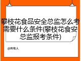 攀枝花食品安全总监怎么考需要什么条件(攀枝花食安总监报考条件)