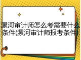 漯河审计师怎么考需要什么条件(漯河审计师报考条件)