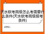 天水软考高级怎么考需要什么条件(天水软考高级报考条件)