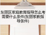 东丽区家庭教育指导怎么考需要什么条件(东丽家教指导条件)
