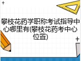 攀枝花药学职称考试指导中心哪里有(攀枝花药考中心位置)