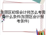 东丽区初级会计师怎么考需要什么条件(东丽区会计报考条件)