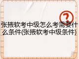 张掖软考中级怎么考需要什么条件(张掖软考中级条件)