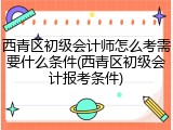 西青区初级会计师怎么考需要什么条件(西青区初级会计报考条件)