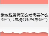 武威税务师怎么考需要什么条件(武威税务师报考条件)