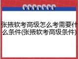 张掖软考高级怎么考需要什么条件(张掖软考高级条件)