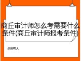 商丘审计师怎么考需要什么条件(商丘审计师报考条件)