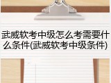 武威软考中级怎么考需要什么条件(武威软考中级条件)