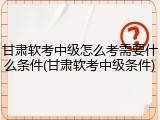 甘肃软考中级怎么考需要什么条件(甘肃软考中级条件)