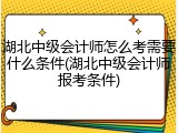 湖北中级会计师怎么考需要什么条件(湖北中级会计师报考条件)