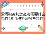 漯河税务师怎么考需要什么条件(漯河税务师报考条件)