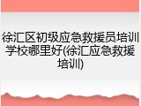 徐汇区初级应急救援员培训学校哪里好(徐汇应急救援培训)