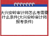 大兴安岭审计师怎么考需要什么条件(大兴安岭审计师报考条件)