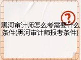 黑河审计师怎么考需要什么条件(黑河审计师报考条件)