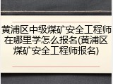 黄浦区中级煤矿安全工程师在哪里学怎么报名(黄浦区煤矿安全工程师报名)